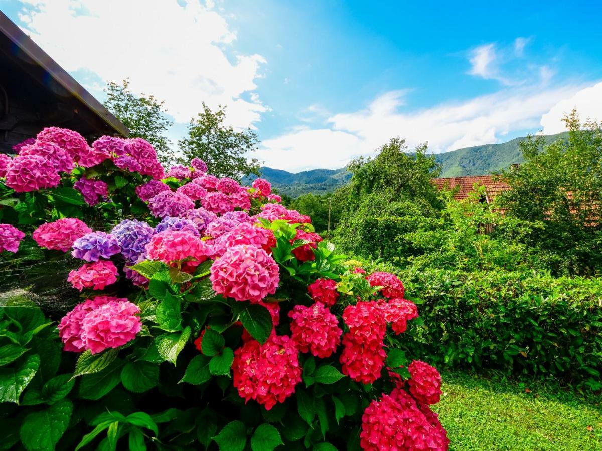 Bozica By Interhome